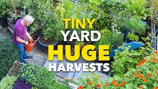 Tiny Yard Container Garden: How to Grow $1,000 of Food