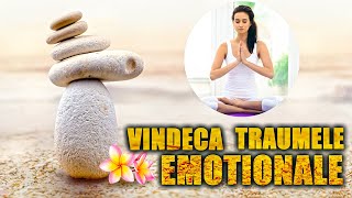 VINDECAREA TRAUMELOR  EMOTIONALE -DEPASESTE FRICA SI RUSINEA-Meditatie Ghidata-Legea Atractiei