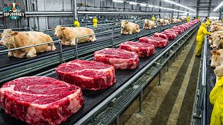 Inside a U.S. Beef Plant – From Farm Cattle to Tyson-Style Packaged Beef (Full Process)