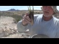 planting vetiver grass