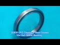 s6800 2rs stainless steel sealed 10x19x5 metric bearing