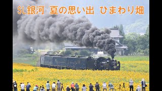 SL銀河　夏の思い出　ひまわり畑