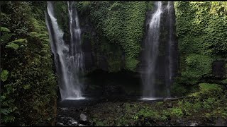 Pleasant Waterfall Sounds For Relaxation, Focus, and Sleep🌊