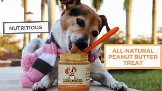 Holistic Peanut Butter Equips You to Become Responsible Pet Parents | Poochie Butter