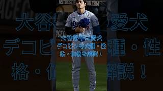 大谷翔平の愛犬デコピンの犬種・性格・価格を解説！　#大谷翔平  ＃ドジャース  VOICEVOX:ずんだもん VOICEVOX:四国めたん