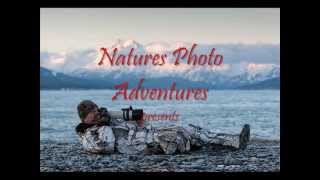 Natures Photo Adventures Intro to Video Series Photo Instruction