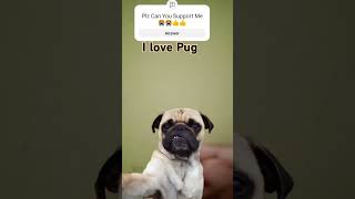 Can You Support¶¶Pug