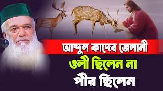 আব্দুল কাদের জেলানী ওলী ছিলেন না পীর ছিলেন | Moklesur Rahman Bangali Waz 2023 |