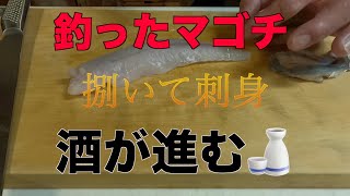 マゴチの刺身 [釣った奴を捌いて刺身] VOL 95