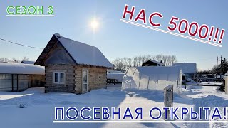 Нас 5000! Посевная открыта! Утеплитель в бане