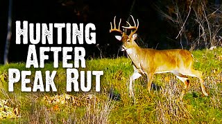 How to Hunt After the Peak of the Rut (843)