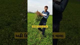 || અઢી કિલો મોકલાવું મારા વાલા || #shorts #trending #viralshorts #funny #comedy #viralvideos #khedu