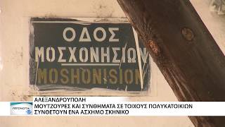 Ο δρόμος είχε τη δική του υστερία