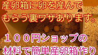 100円ショップの材料で産卵箱を作ってみました。産卵箱に卵を産んでもらう裏ワザあります。