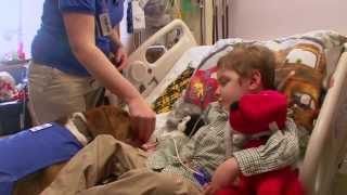 Therapy Dogs Bring Joy to Cincinnati Children's Patients