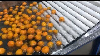 citrus washing drying sorting line，tomato washing drying sorting machine