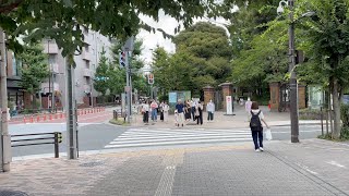 Tokyo Walk - 目白 Mejiro 4K HDR 60fps