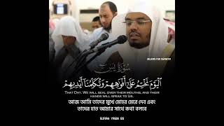 Surah Yasin 65 | #ياسر_الدوسري  Yasser Al Dosary | সুরা ইয়াসিন ৬৫ #yasseraldosary