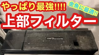 【金魚に最適‼︎】やっぱり最強‼︎上部フィルター‼︎