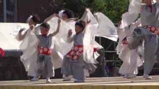 桃太郎まつり うらじゃ2016 踊り衆 吉備人 -kibiuto- 下石井公園