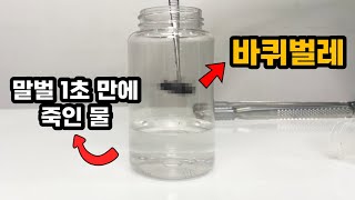 바퀴벌레를 젖지않는 물에 담그면?