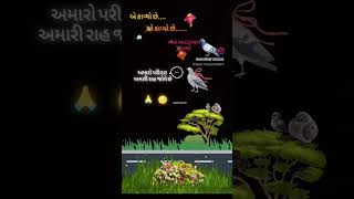 ‼️આઈ શ્રી માં ખોડીયાર  ‼️#jaykhodal #sorts#khodal#song#maakhodal #jay#100k#rajakhodiyar#gujarati