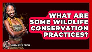 What Are Some Wildlife Conservation Practices? - African Roots And Routes