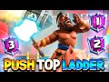 TOP 50+ LADDER PUSH