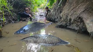 Meet a puddle with many giant fish. Use manual tools to catch fish. Caught many giant fish