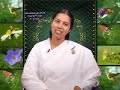 onam message brahmakumaris malayalam video bk meenaji