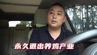 我将永久退出养鸡行业，坚持5年不再继续，怪我自己醒悟太晚