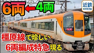 【レア】この日限定⁈ 橿原線で突如現れた4両から6両編成に増えた特急を撮影！離合2シーン（近鉄）