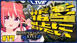 【ゲーム配信】#17 ひたすらHR上げたいモンハンライズ【MHR】