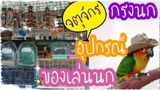 #ep13 #จตุจักร #ของเล่นนก #กรงนก #อุปกรณของนก #เจอพี่ที่Youtube