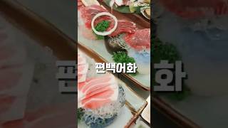 대구맛집탐방 오늘은 대전맛집 #편백어화 #참치