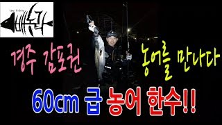 [[ 배농락 ]] 동해 바다 감포 봄 농어 초보 루어낚시  뜰채가없어서 힘들게 랜딩 ..korea east Gampo spring seabass Luer fishing