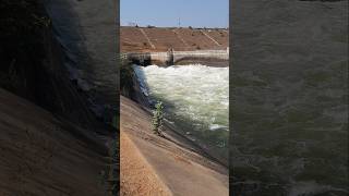 Beautiful view of Water releasing from Dam into canal #water #nature #travel #waterfall #shorts