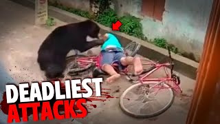 The DEADLIEST Bear Attacks MARATHON!