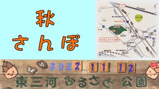 秋さんぽ 東三河ふるさと公園　（撮影日：2022年11月12日）