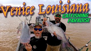 Venice  Louisiana Catfishing Paradise.