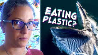 The Shocking Truth About Ocean Plastic