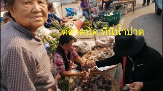 พาชม ตลาดนัดที่นี่น้ำปาด