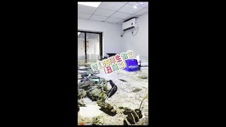 开到什么养什么！这回的物种可太有生活了～ #诺亚方缸