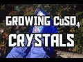 Making Copper Sulfate Crystals