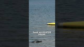 Fake alligator prank 🐊