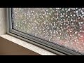 rabbitgoo 3d decorative rainbow window film installation u0026 review