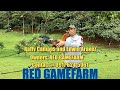 Lets Visit The Farm Of Red Gamefarm