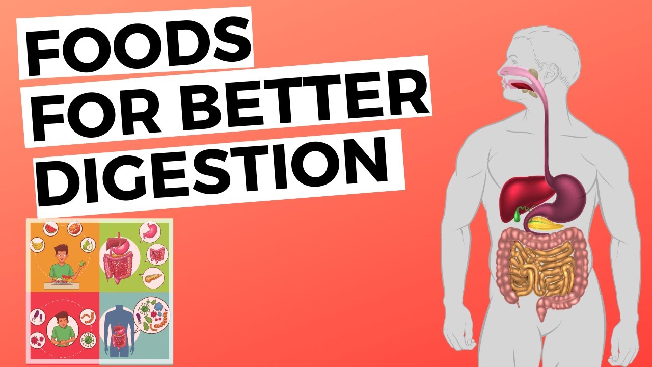 10 Foods That Helps For Better Digestion - YouTube