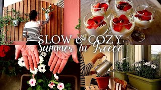 Welcoming Summer | Balcony Flower Garden | Delicious Cheesecake | Slow Living Silent Vlog | ASMR