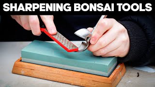 How to Sharpen and Maintain your Bonsai Tools ✂️